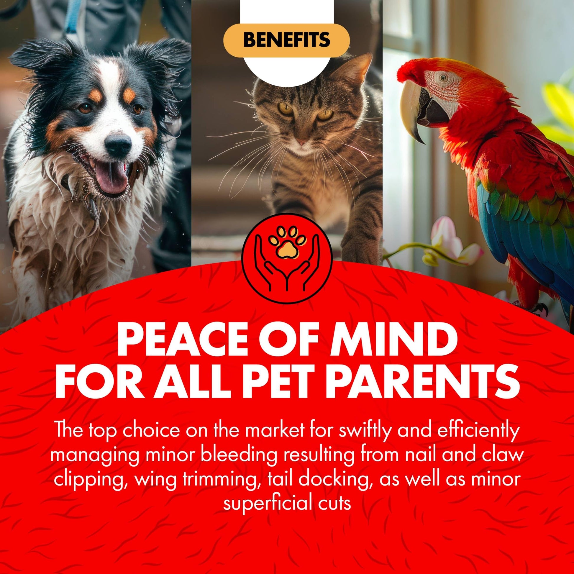 Miracle Care Kwik Stop Styptic Powder for Dogs. Chosen for real quality, fits naturally into modern