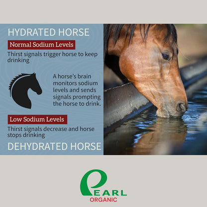 New 8 lbs Animal Himalayan Salt Lick on Rope for Horses, Deer, Rabbits, Cows and Other Livestock | Lick Salt for Deer | Digestive Aid for Animals | Horse Treats (8 lbs)