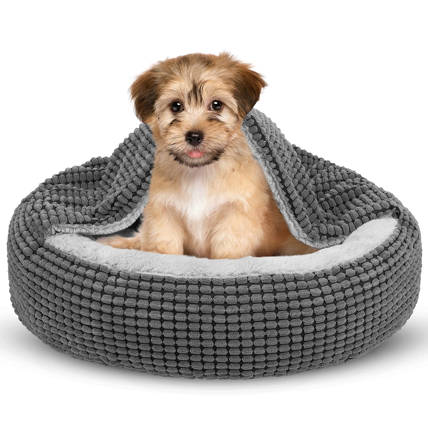 SIWA MARY Small Dog Bed with Attached Blanket. Chosen for real quality, fits naturally into modern