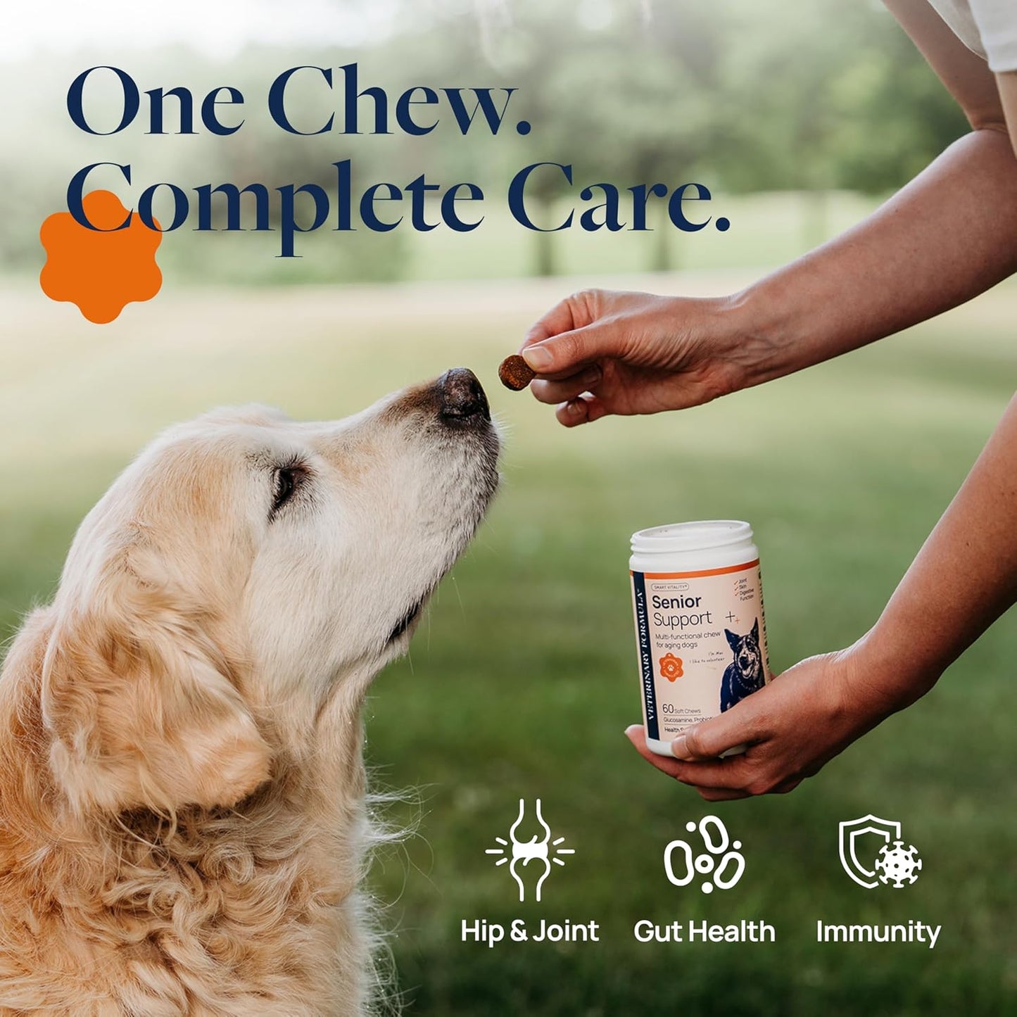 Veterinary Formula Smart Vitality Senior Support Dog Supplements 60ct – Senior Dog Vitamins to Help Promote Mobility, Hip & Joint, Immune Health – Dog Multivitamin with Glucosamine and Chondroitin