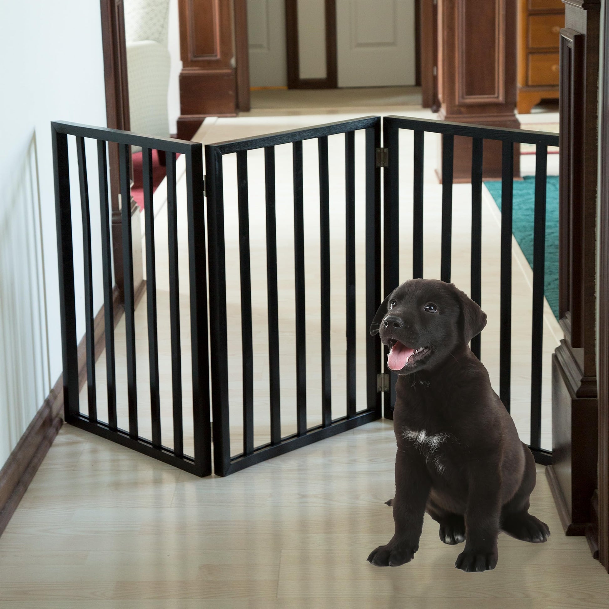 Pet Gate. Chosen for real quality, fits naturally into modern pet homes.