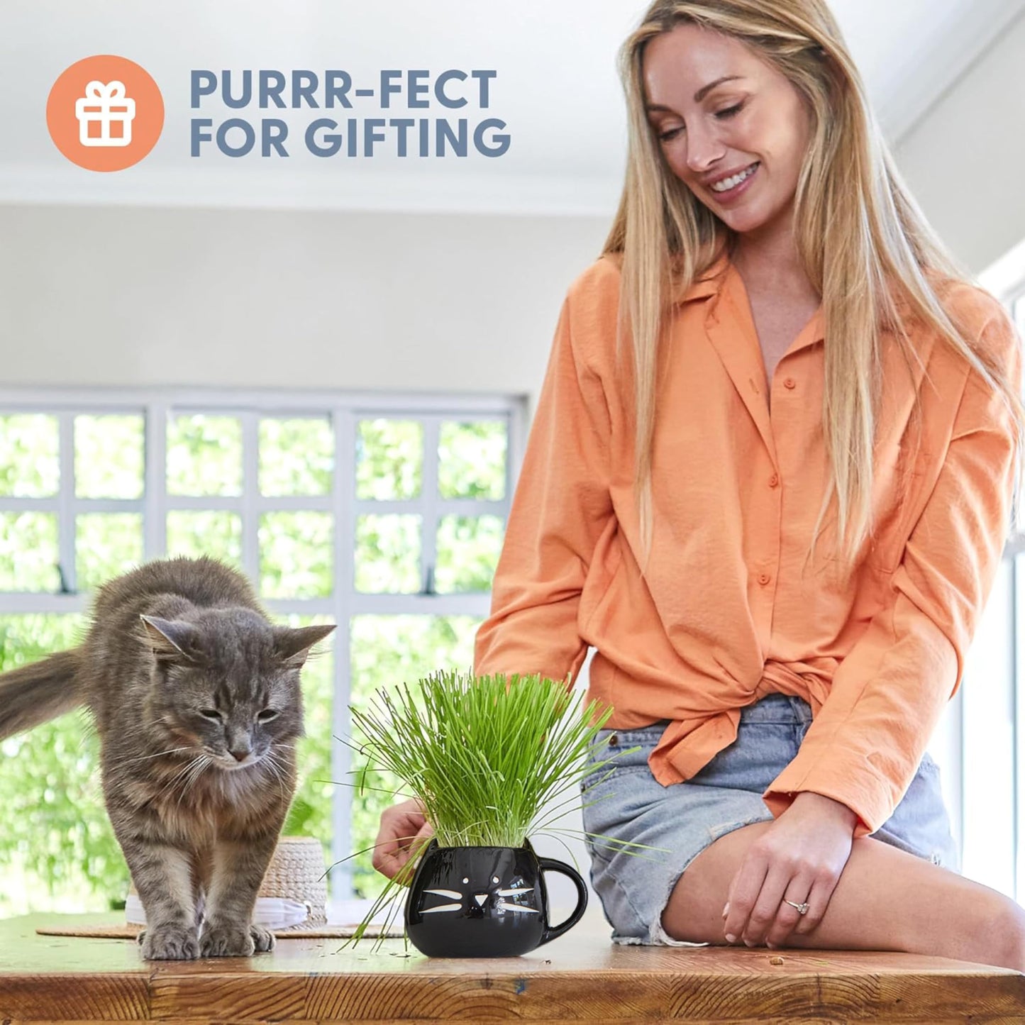 The Cat Ladies Organic Cat Grass for Indoor Cats. Chosen for real quality, fits naturally into
