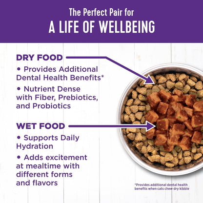 Wellness Complete Health Cubed Adult Wet Cat Food, Natural, Protein-Rich, Grain Free, 5.5 Ounce, 24 Pack, (Turkey Entrée)