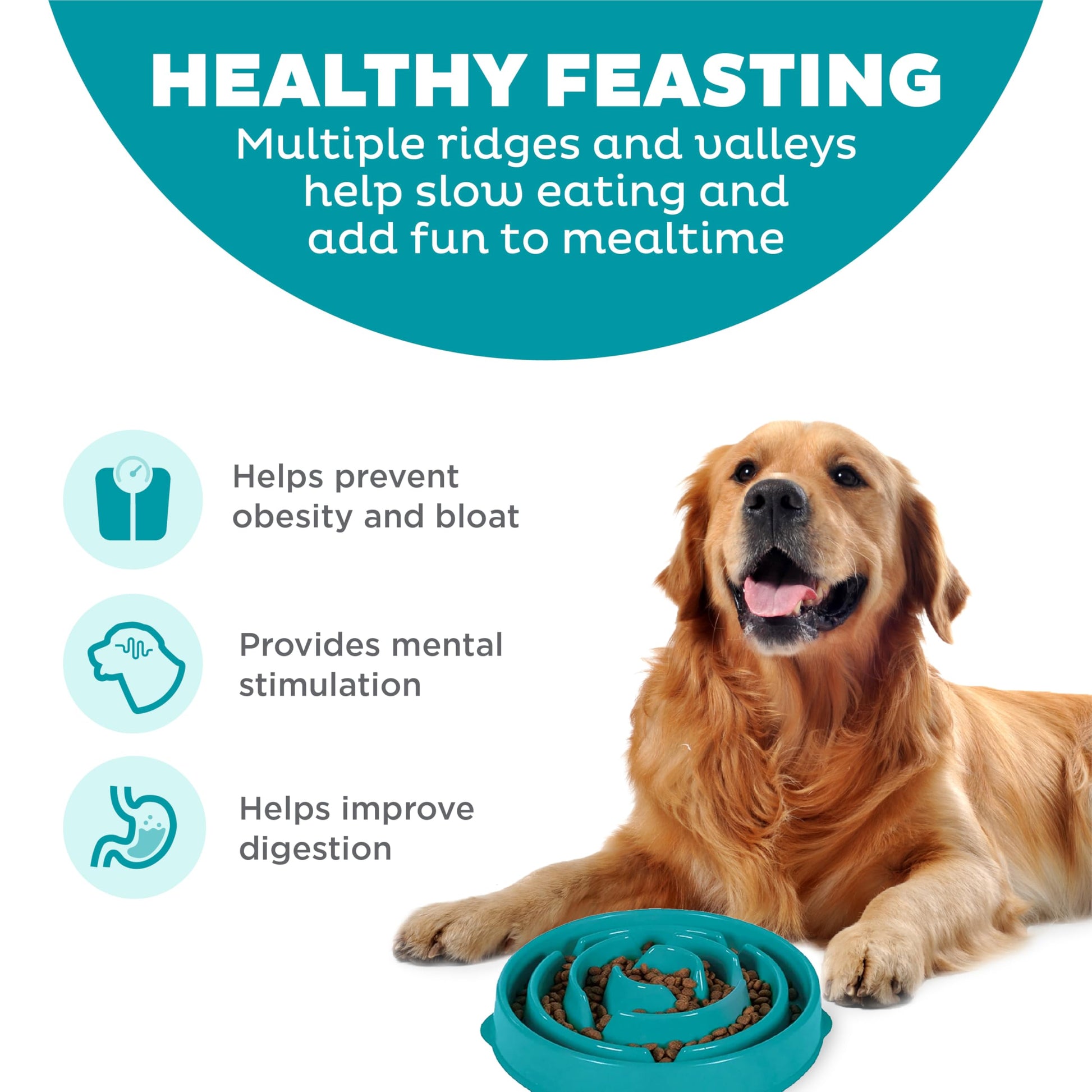 Outward Hound Fun Feeder Slo Bowl. Chosen for real quality, fits naturally into modern pet homes.