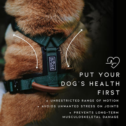 MADE TO ROAM Premium Explorer Harness - Y-Shaped Dog Harness with Adjustable Durable Nylon, Soft Padding, Metal Buckles and Leather Handle for Small, Medium, Large Dogs (Utah Glow, Size 4)