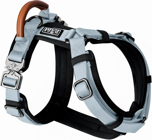 MADE TO ROAM Premium Explorer Harness - Y-Shaped Dog Harness with Adjustable Durable Nylon, Soft Padding, Metal Buckles and Leather Handle for Small, Medium, Large Dogs (Alaska Daybreak, Size 7)