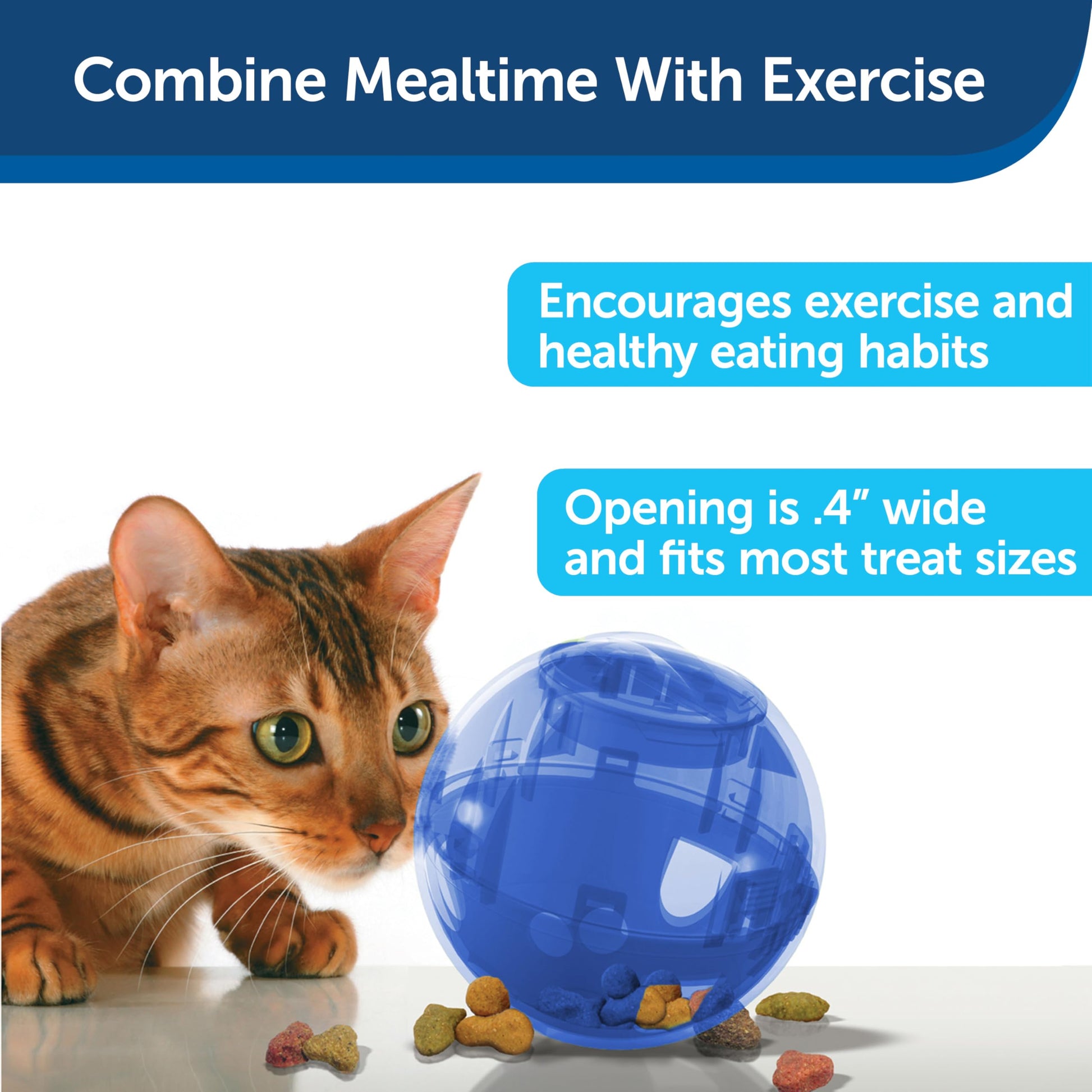 PetSafe Slimcat Feeder Ball Cat Toy. Chosen for real quality, fits naturally into modern pet homes.