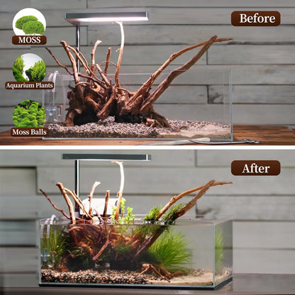 majoywoo Natural Driftwood for Aquarium Decor Fish Tank Decorations, Assorted Spider Wood Branch 7-11" 3 Pcs, Reptile Decor