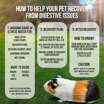 Pet Guinea Pig Emergency Kit with Timothy Recovery Food (Large Emergency Kit)