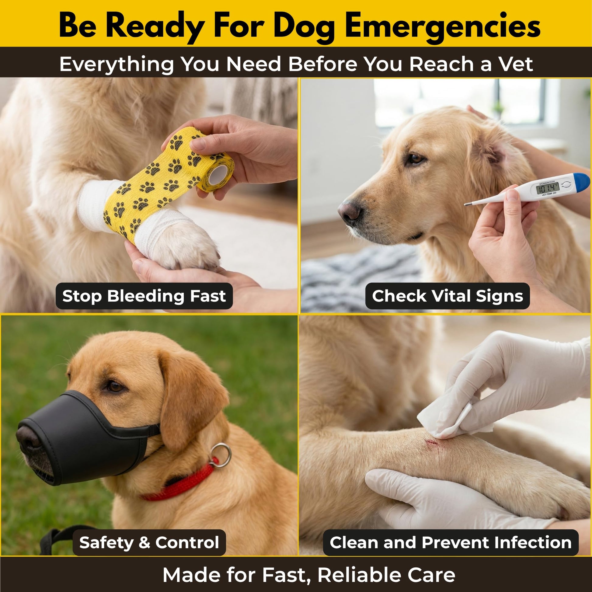 Ruffify Dog and Cat First Aid Kit. Chosen for real quality, fits naturally into modern pet homes.