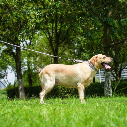 Rope Dog Leash, 4 ft Heavy Duty Dog Leash with Aviation Aluminum Auto Locking Carabiner, Strong Nylon Pet Lead for Small, Medium, Large Dogs (Rose Red, 4FT)
