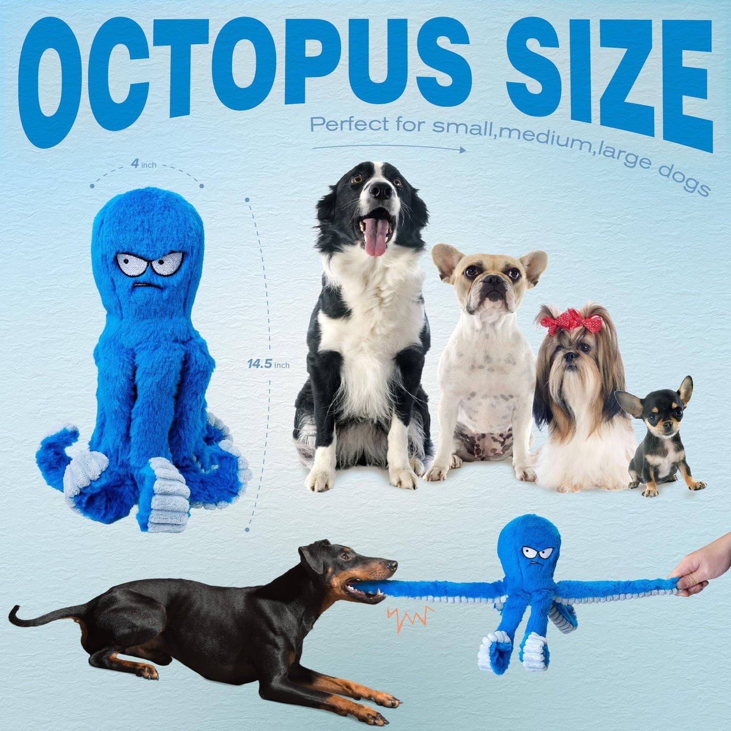 LEGEND SANDY Tough Dog Toys. Chosen for real quality, fits naturally into modern pet homes.