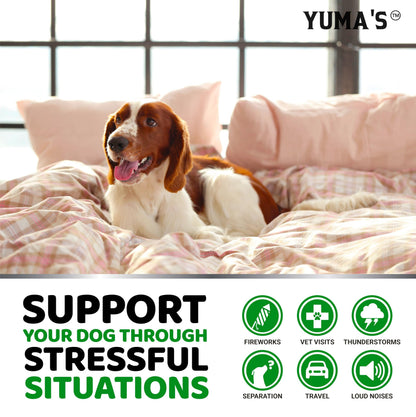 Hemp Calming Chews for Dogs. Chosen for real quality, fits naturally into modern pet homes.
