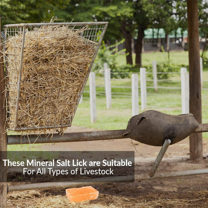 Licking Salt for Horse, 100% Pure Himalayan Pink Salt Chunks, 6 LBS, Animal Feed Salt Chunks, Horse Salt Licks, Natural Mineral Salt - Pack of 2