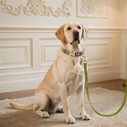 Didog Soft PU Leather Dog Collar for Large Dogs,Classic Adjustable Dog Collars with Quick Release Metal Buckle,Easy Clean and Comfortable with Nylon Lining,Olive Green,L Neck 15-23"