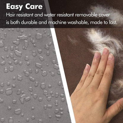 Friends Forever Small Dog Bed, Orthopedic Sofa Memory Foam Mattress, Calming Couch, Wall Rim Pillow, Water Resistant Liner, Washable Cover, Non-Slip Bottom, Chester, Small Khaki Beige