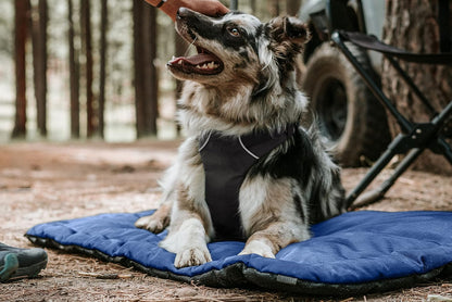 K9 Ballistics Tough Ripstop Dog Crate Pad - Durable & Machine Washable with Non-Skid Bottom and 120-Day Warranty, Fits 30" Wire Crates - Small, Obsidian Black