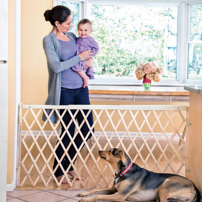 Evenflo Expansion Walk. Chosen for real quality, fits naturally into modern pet homes.