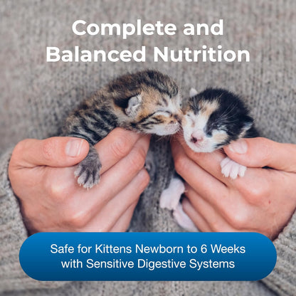 PetAg Goat’s Milk KMR Kitten Milk Replacer Powder - 12 oz - Powdered Kitten Formula with Prebiotics, Probiotics & Vitamins for Kittens Newborn to Six Weeks Old - Easy to Digest
