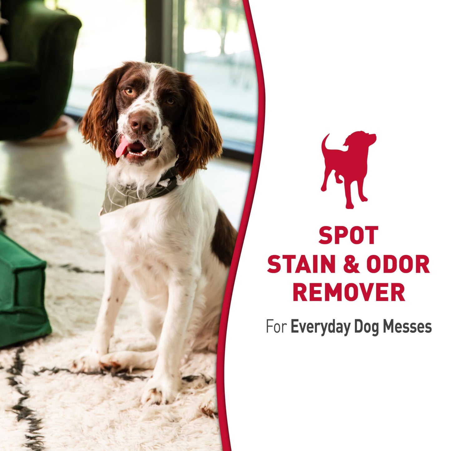 Nature’s Miracle Dog Stain & Odor Remover. Chosen for real quality, fits naturally into modern pet