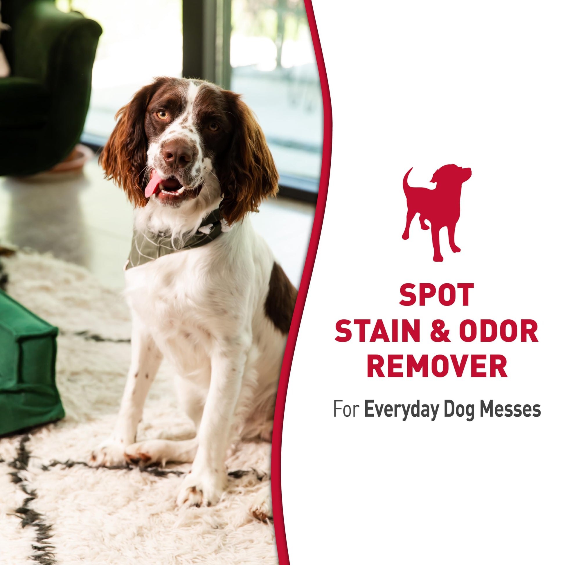 Nature’s Miracle Dog Stain & Odor Remover. Chosen for real quality, fits naturally into modern pet