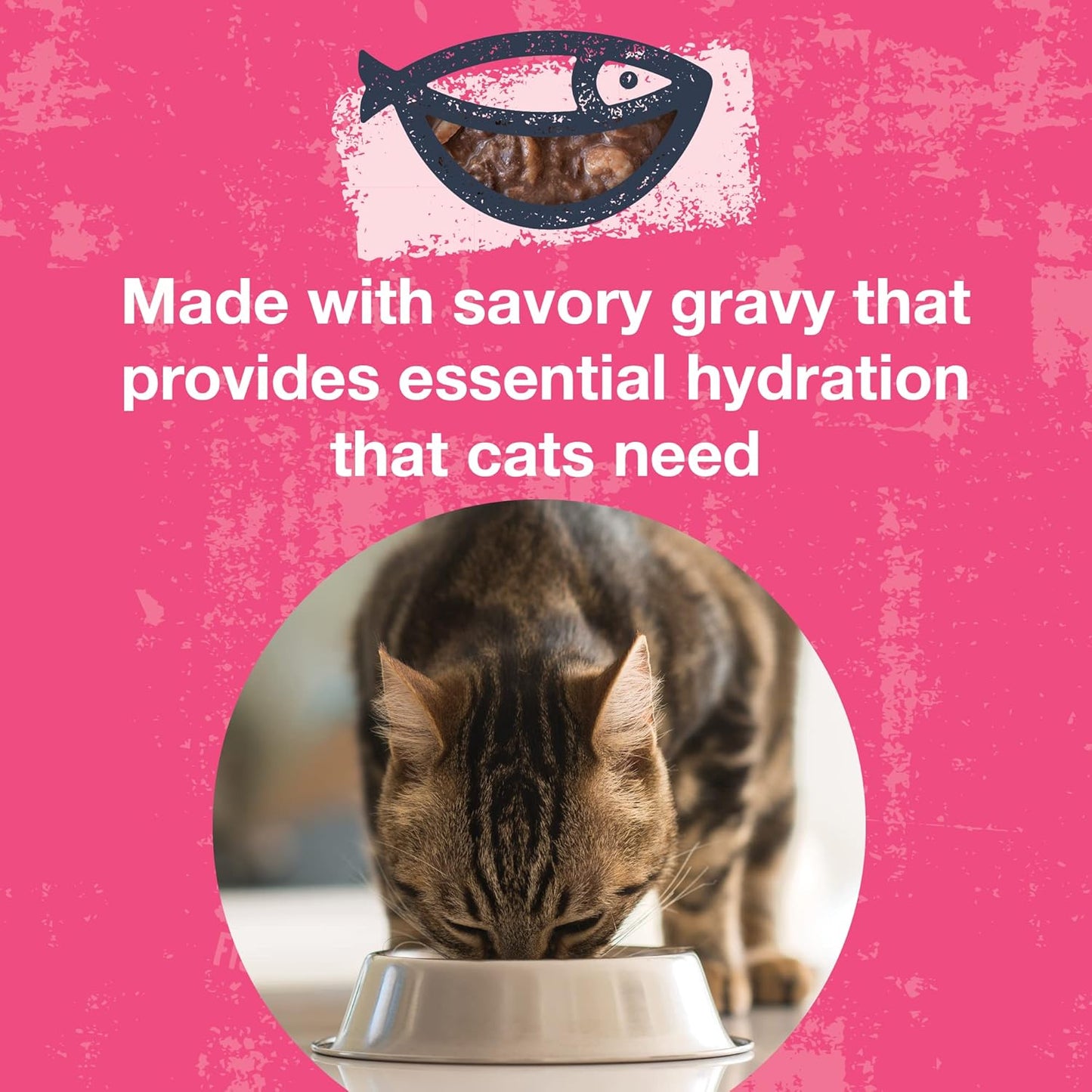 KOHA Poké Bowl Tuna & Shrimp Entree in Gravy for Cats, 12-Pack of 3oz Pouches