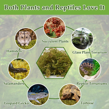 Halatool 12OZ Natural Sphagnum Moss for Reptiles- 18QT Green Live Moss for Terrarium Plants Long Fiber Reptile Moss for Leopard Gecko Snake Hamsters Tortoises Frogs Lizards Salamanders