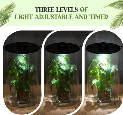 Maxdot Glass Plant Terrarium Kit with Light for Succulent, Moss, Miniature Gardening Landscape, Betta Fish Tank, Office Home Decoration, Plant Lovers Gifts(9.8 x 5.9 Inch)