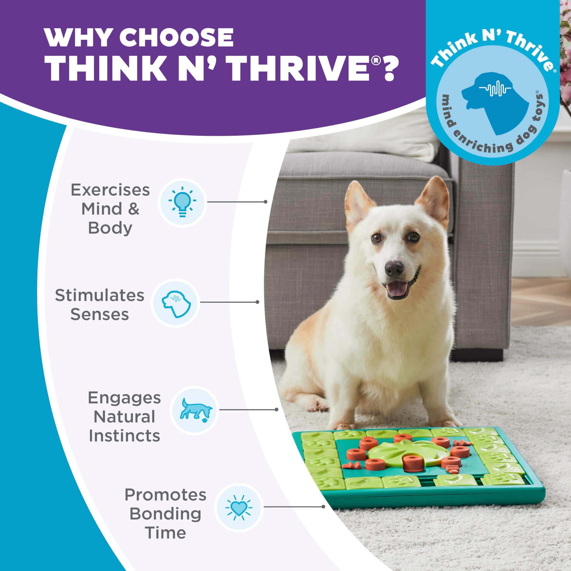 Outward Hound Nina Ottosson MultiPuzzle Dog Toy Treat. Chosen for real quality, fits naturally into