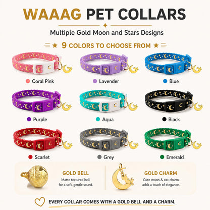 waaag Cat Collars. Chosen for real quality, fits naturally into modern pet homes.