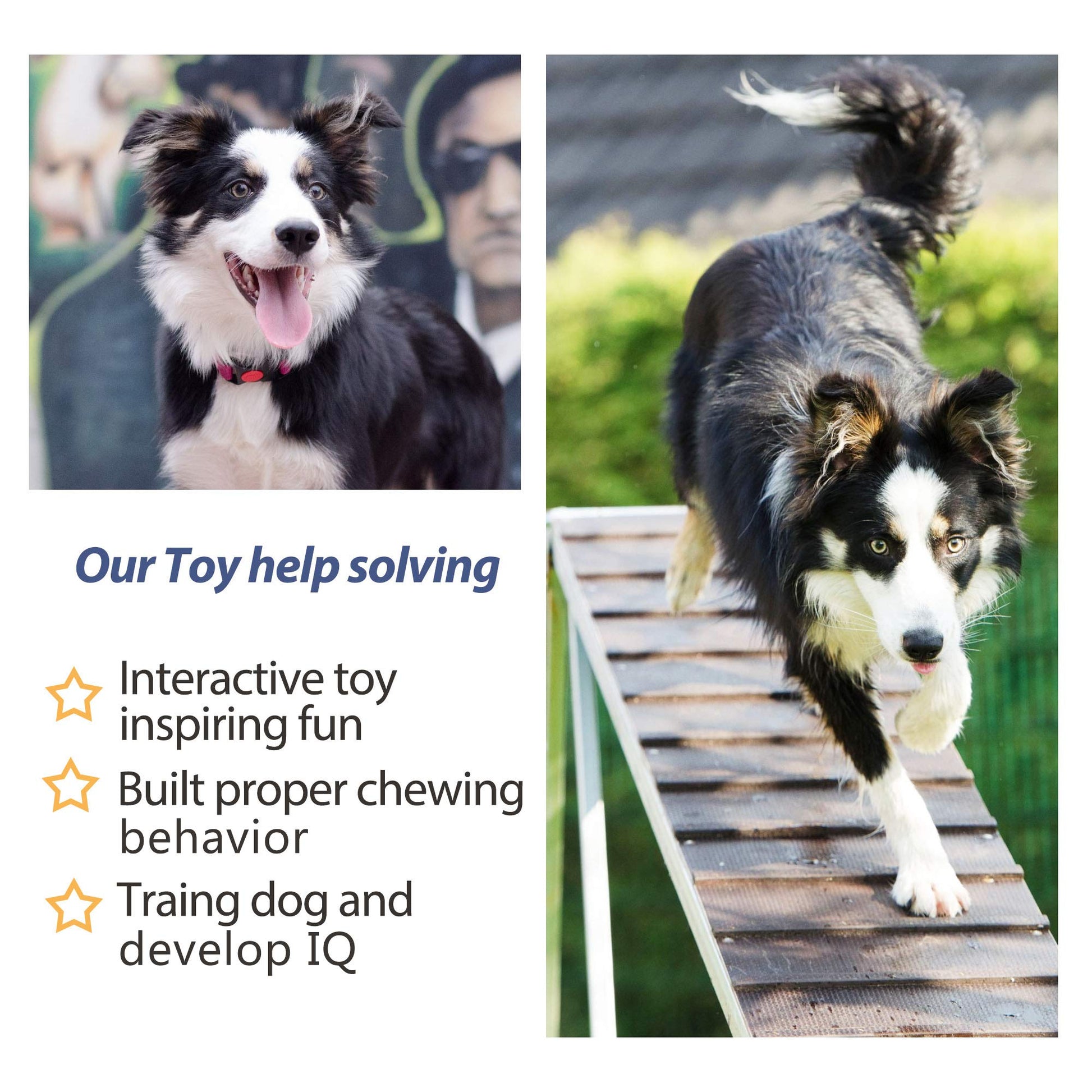 Fida Dog Rope Toys. Chosen for real quality, fits naturally into modern pet homes.