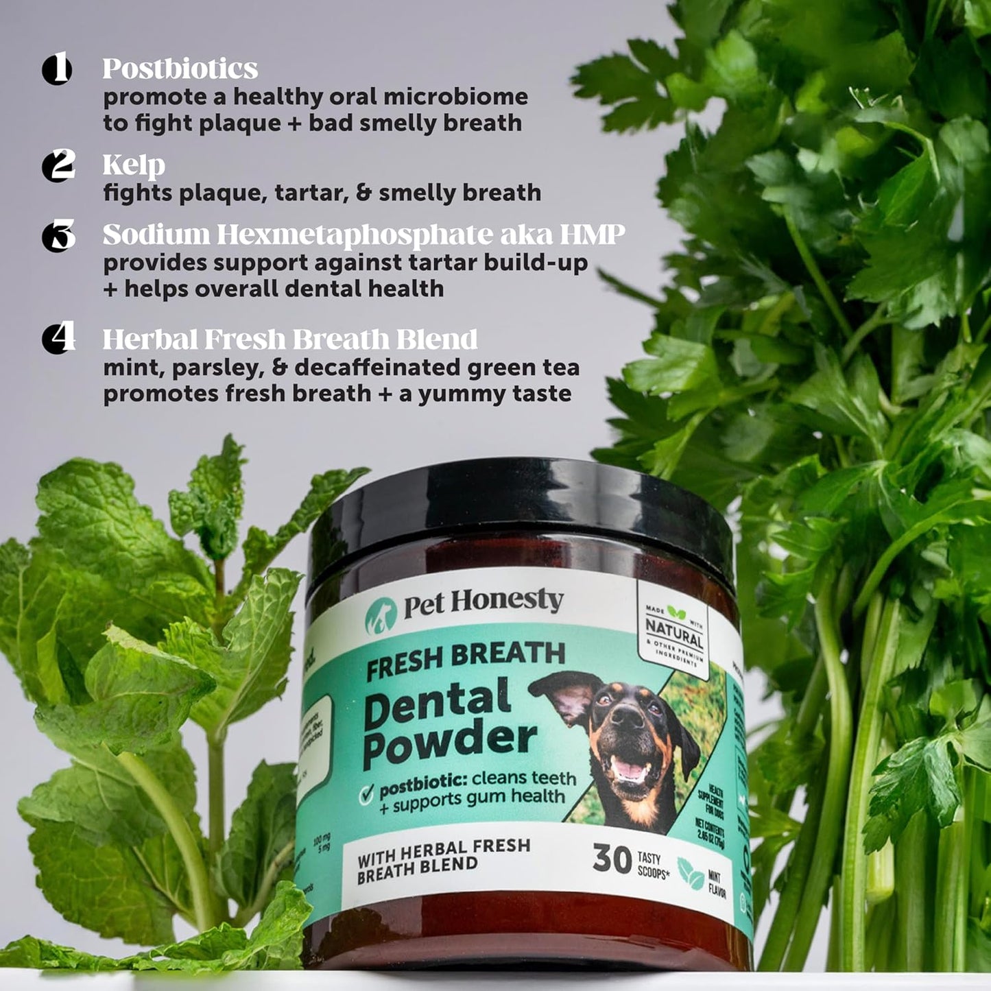 Dog Breath Freshener Dental Powder for Teeth Cleaning Plaque Off, Dental Care for Large Dogs, Tartar Remover for Teeth with Natural Herbal Blend + Postbiotics (Mint - 60 Servings)