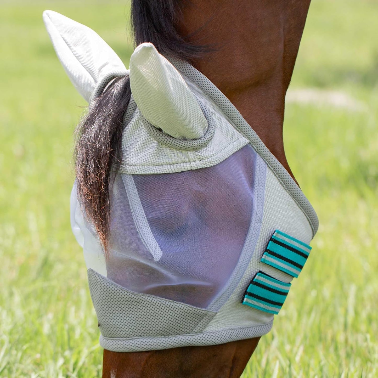 Equinavia Algard Soft Mesh Horse Fly Mask with Ear Protection and 45 UPF Rating | No Eye Irritation & UV Protection - Silver/Turquoise - Warmblood