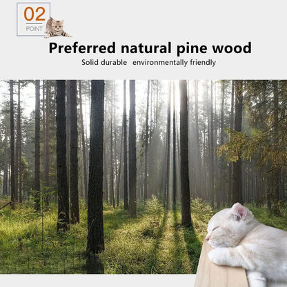 Cat Wall Shelves and Furniture Set with Condos, Perches, Bridge Ladders, Sisal Scratching Posts - Steps and Houses for Cats (C)