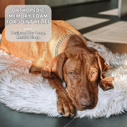 IHAPPYDOG Luxury Faux Fur Orthopedic Dog Bed, Memory Foam Dog Bed for Small, Medium, Large and XL Pets, Fluffy Pet Rug with Waterproof and Washable Cover (White w/Brown Tips, 40"x25")