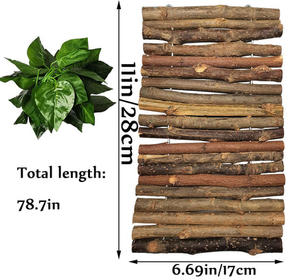 Hamiledyi 11.8 x 6.7 Inches Wooden Reptile Hideout Bearded Dragon Bendy Bridge Climbing Ladder Hiding Hut Reptiles Hide Cave Habitat Decor for Lizards Gecko Spiders Snakes Tortoise(Medium)