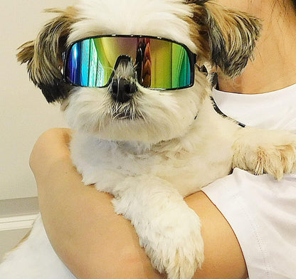 G029 Small Dog Breed 8-18lbs Pet Puppy Cat Sports Turbo Sunglasses (Sport Turbo Black-Rainbow Mirror)