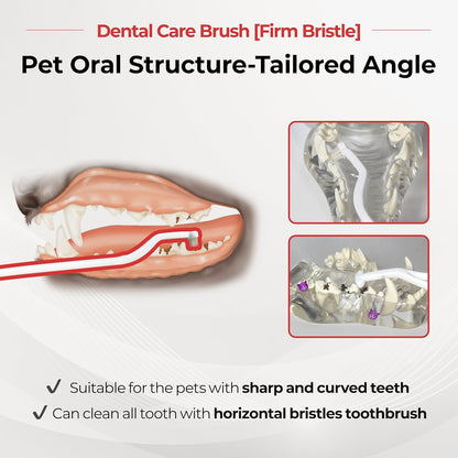 JAYU PET Dental Care Brush (Firm Bristles) 3ea - Resilient Dog Toothbrush, Cat Toothbrush for Tartar & Plaque Removal, Horizontal Head and S-Curved Body