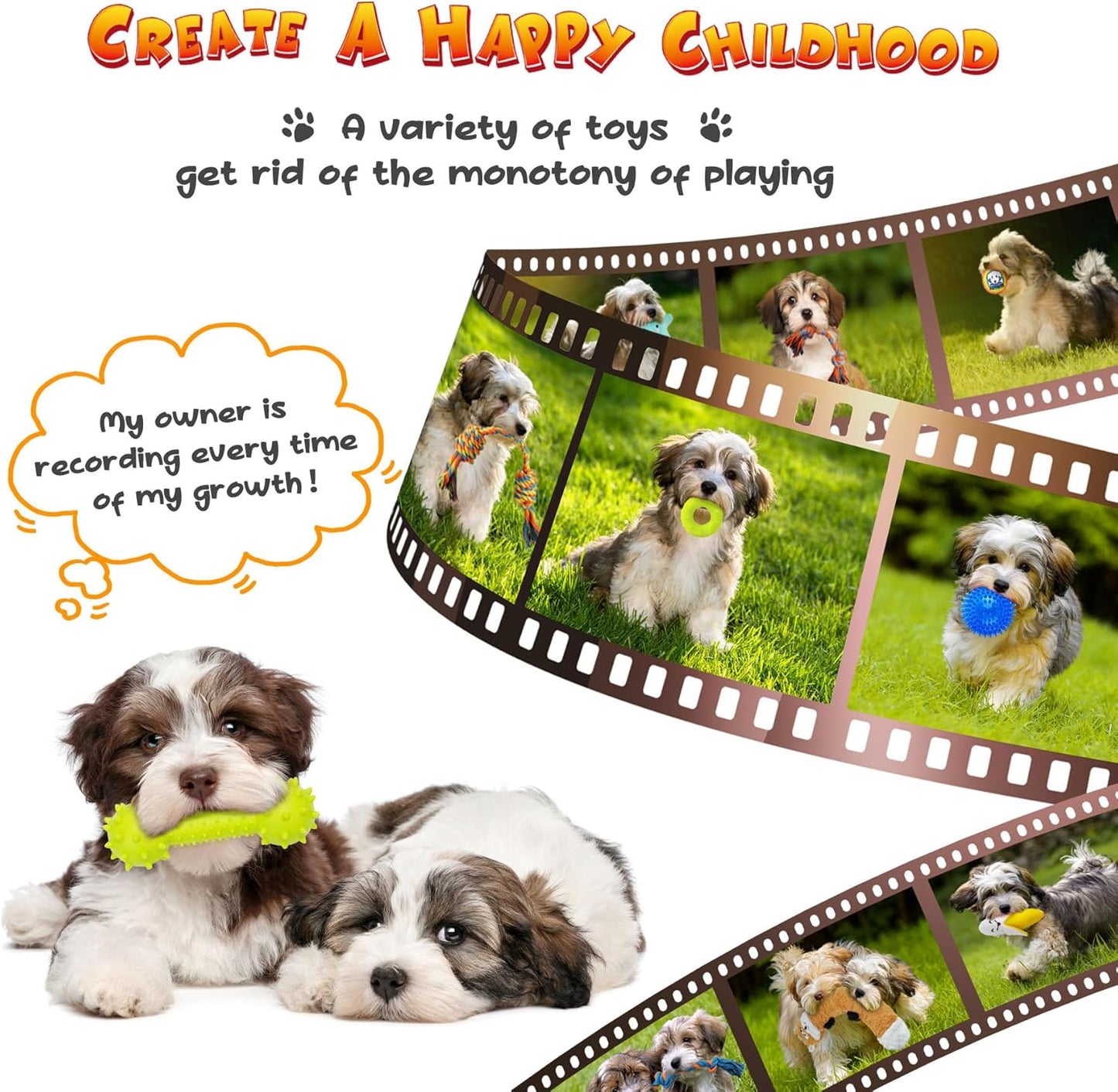 KIPRITII Puppy Toys for Dog Teething -25 Pack Various Puppy Chew Toys with Rope Toys, Dog Treat Balls & Squeaky Toy for Puppy and Small Dogs