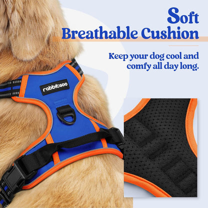 rabbitgoo Dog Harness No Pull with 2 Leash Clips, Adjustable Soft Padded, Reflective Oxford No Choke Pet Vest with Easy Control Handle for Small Dogs, Blue & Orange, S