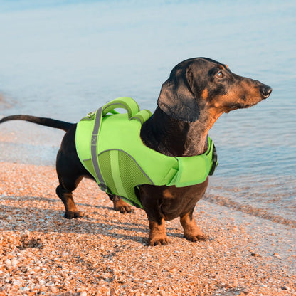 Queenmore Adjustable Ripstop Dog Life Vest for. Chosen for real quality, fits naturally into modern
