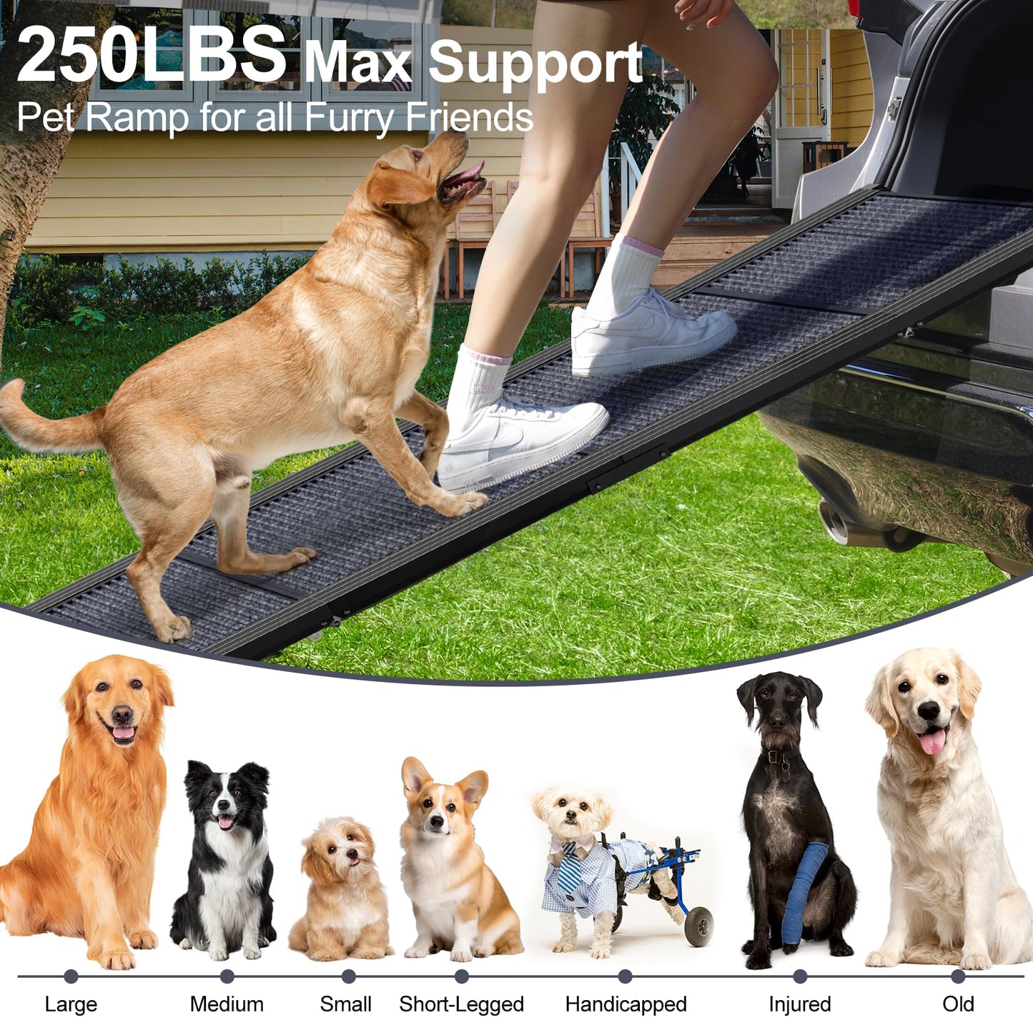PetRuna Dog Ramp for Car Truck 63" L × 17" W. Chosen for real quality, fits naturally into modern