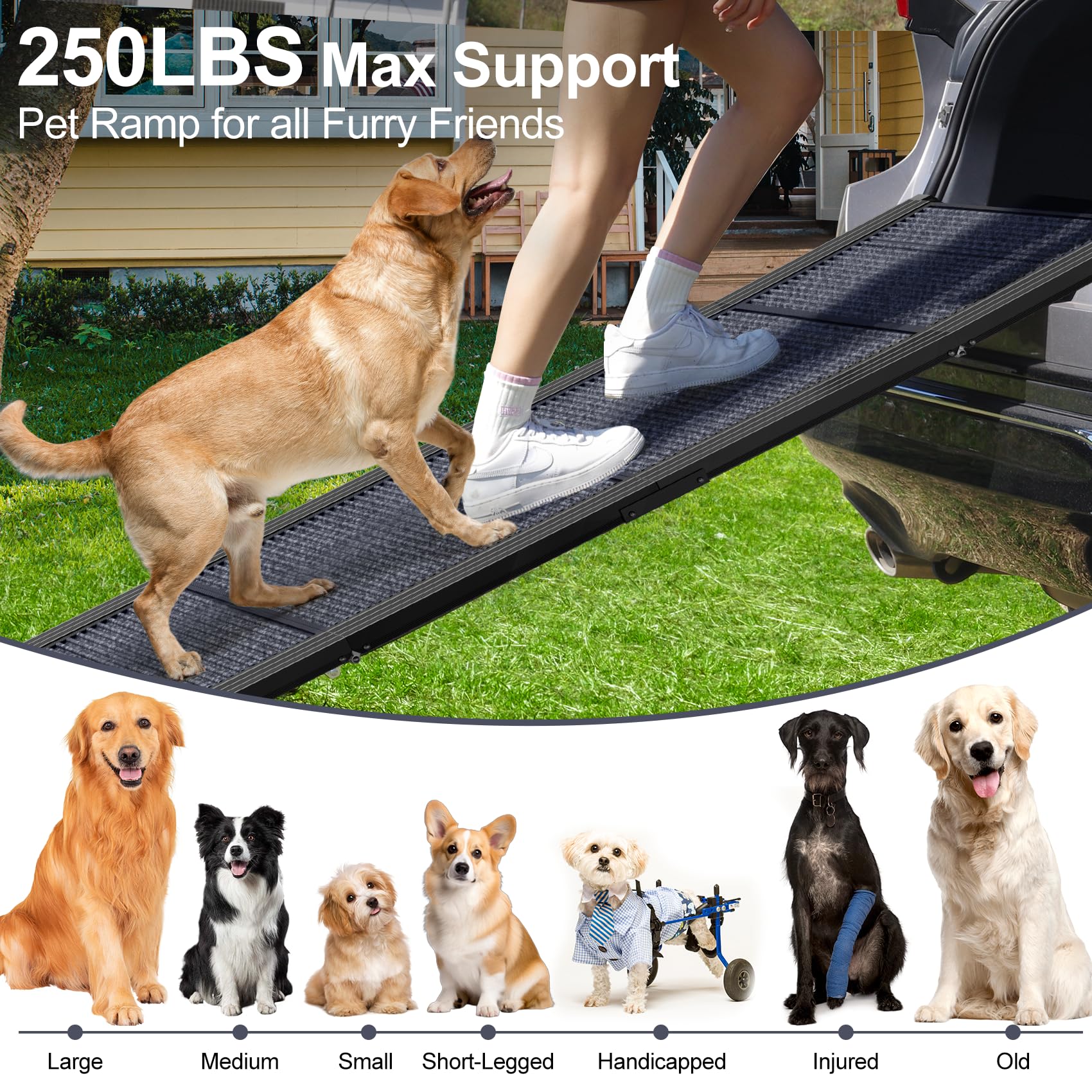 PetRuna Dog Ramp for Car Truck 63" L × 17" W. Chosen for real quality, fits naturally into modern