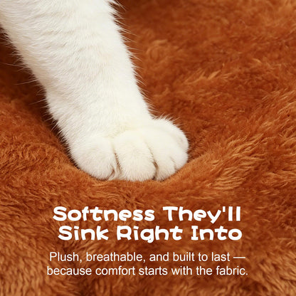 KISIMUY Cat Bed Cave with Pillow & Cat Toys. Chosen for real quality, fits naturally into modern