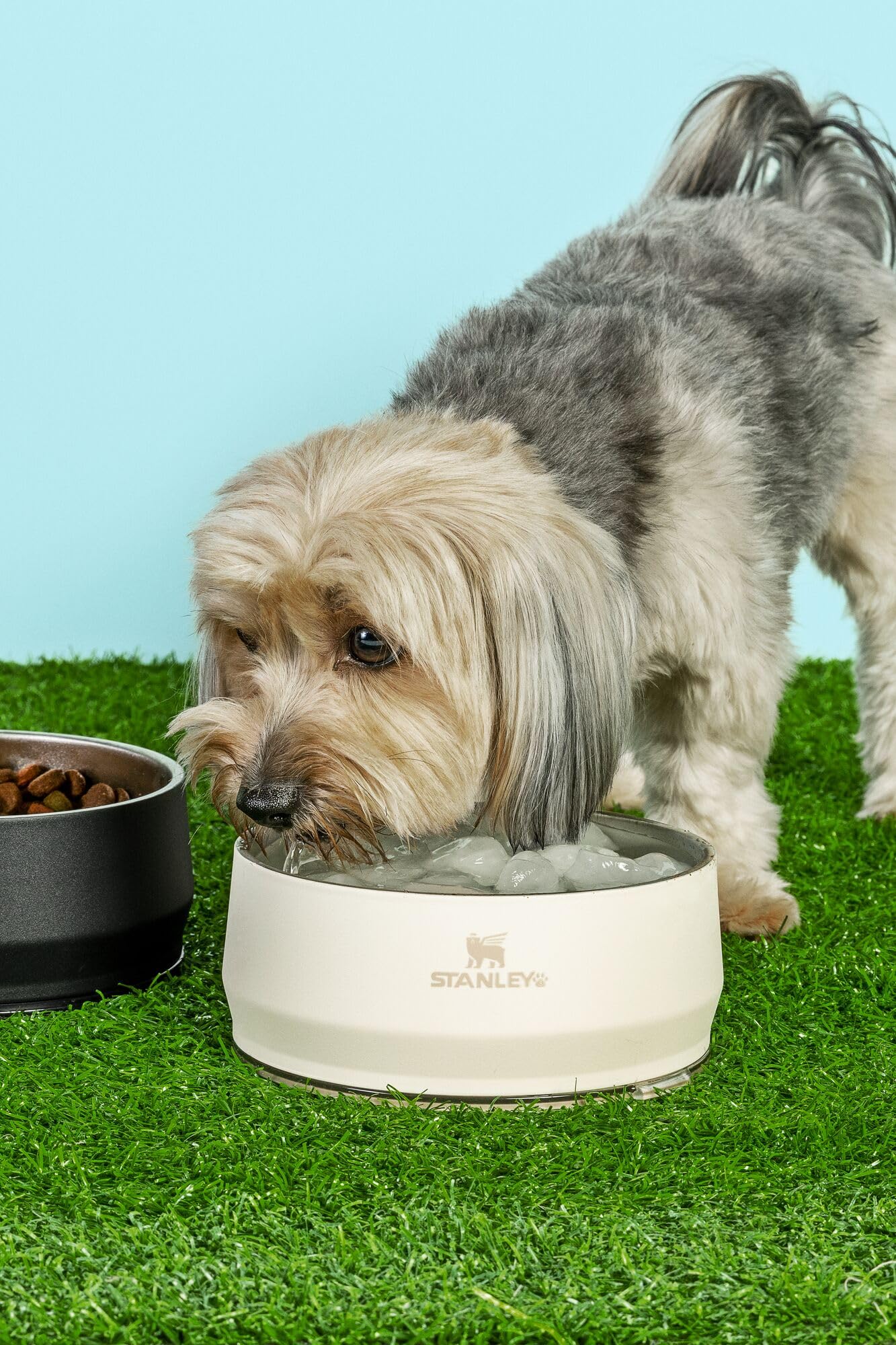 STANLEY Pet Bowl | 3. Chosen for real quality, fits naturally into modern pet homes.