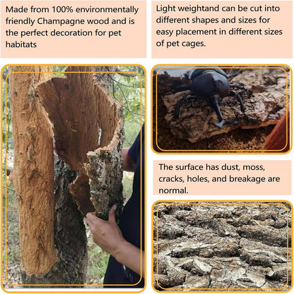 BNOSDM 4pcs Reptile Cork Bark Terrarium Background Bearded Dragon Tank Decor for Lizard Bearded Dragon Frog Leopard Gecko Tortoise Snake Chameleon