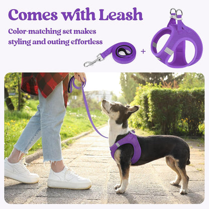 rabbitgoo Dog Harness Small Sized and Leash Set, Step in Soft Light Puppy Vest, Breathable Mesh Pet Harness, Reflective for Safe Outdoor Walking, Purple M