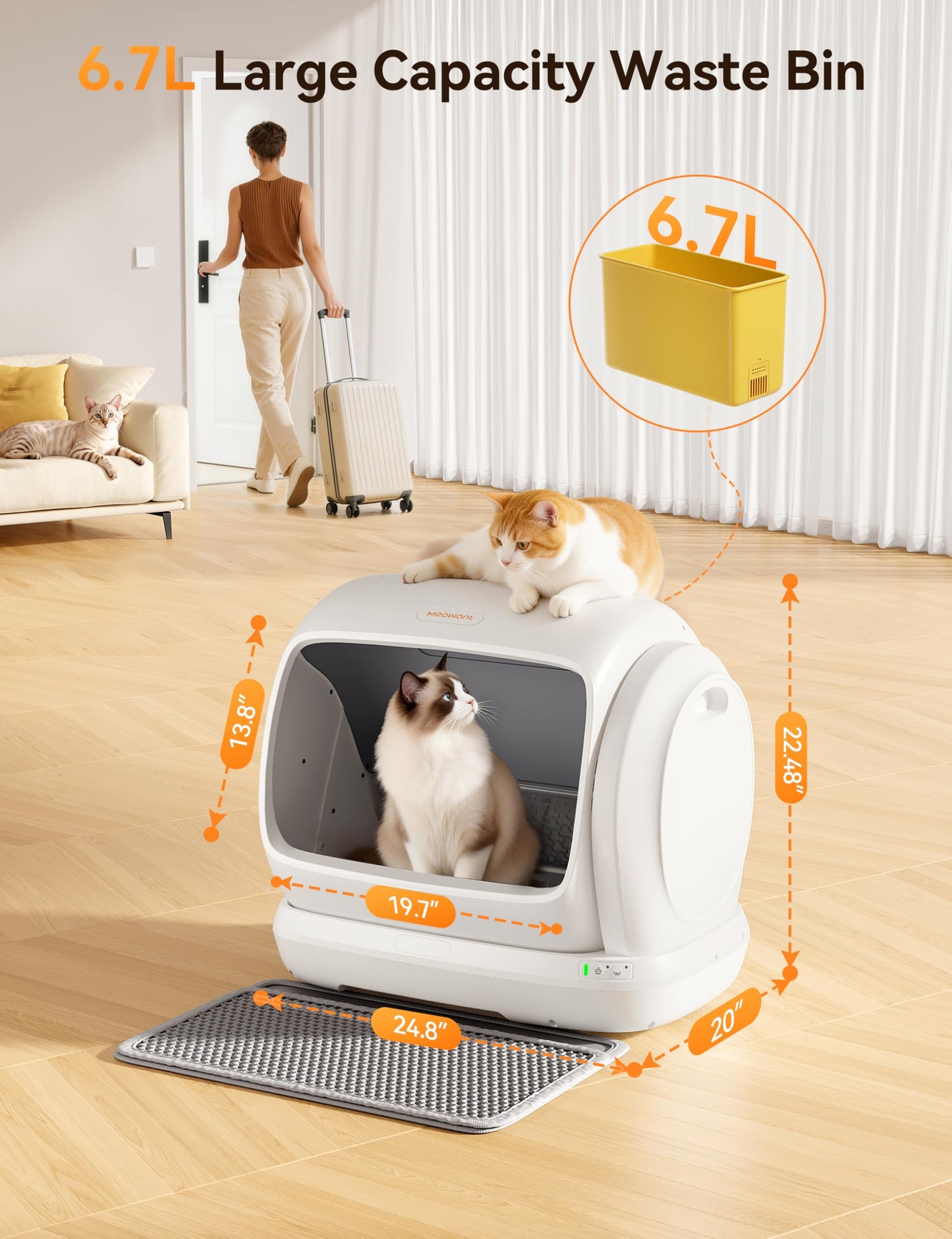 Meowant Self. Chosen for real quality, fits naturally into modern pet homes.