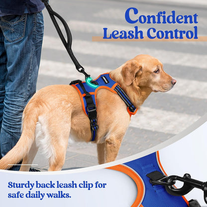 rabbitgoo Dog Harness No Pull with 2 Leash Clips, Adjustable Soft Padded, Reflective Oxford No Choke Pet Vest with Easy Control Handle for Large Dogs, Blue & Orange, XL