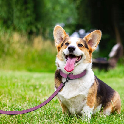 Didog Soft Padded Leather Dog Collar and Leash Set, Heavy Duty Dog Leash and Collar Set with Metal Buckle, Breathable Dog Collars with 4FT Leather Dog Leash for Small Medium Large Dogs, Purple, L